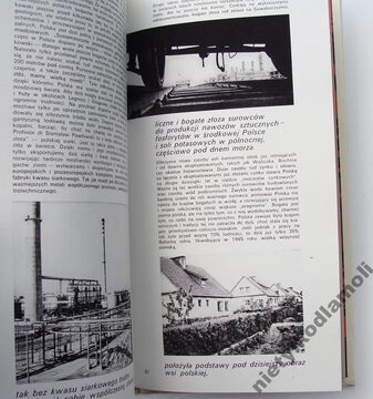 Zdjęcie dodatkowe