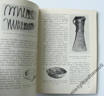 Zdjęcie dodatkowe