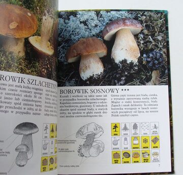 Zdjęcie dodatkowe