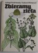 Zbieramy zioła. Kwaśniewska, Mikołajczyk