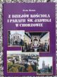 Z dziejów kościoła i parafii św. Jadwigi w Chorzowie  J. Kurek