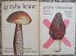 Grzyby leśne + chronione poradnik   A. Grzywacz