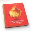 Bursztynowe drzewo  baśnie kaszubskie  Edmund Puzdrowski