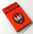 GNIEZNO zarys dziejów  Jerzy Topolski