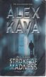 AT THE STROKE OF MADNESS (Granice szaleństwa)  Alex Kava 