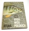 RYBY WÓD POLSKICH atlas  Andrzej Rudnicki 
