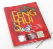FENG SHUI Tradycyjne orientalne sposoby poprawiania swego szczęścia Stephen Skinner