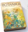 BOTANIKA podręcznik dla szkół wyższych  Alicja Szweykowska i Jerzy Szweykowski