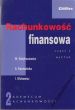RACHUNKOWOŚĆ FINANSOWA M. Gmytrasiewicz, A. Karmańska, I Olchowicz