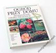 OGRÓD PRZY DOMU PROJEKTOWANIE, UPRAWA, PIELĘGNACJA