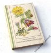 TASCHENBUCH DER HEIMISCHEN FRÜHJAHRSBLUMEN   WIOSENNE ROŚLINY KWIATOWE przewodnik  FRITZ KOCH