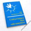 Uzdrawiająca moc sakramentów   JIM McMANUS CSSR