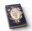 Zarys dziejów Polski do roku 1864   Władysław Czapliński