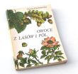 OWOCE Z LASÓW I PÓL   Irena Gumowska 