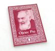 Ojciec Pio Miłosierny Samarytanin Alessio Parente OFM Cap.