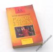 PODRÓŻE Z TECZKĄ Dookoła świata na cudzy koszt   PETER BIDDLECOMBE