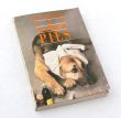 GDY ZACHORUJE PIES   P. Teichmann   