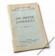 JAK BIEDZIE ZARADZIĆ? X. T. Bzowski T. J.  GŁOSY KATOLICKIE. Rocznik XI. Nr. 133 . 