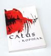 Całus i kopniak