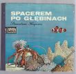 SPACEREM PO GŁĘBINACH Stanisław Kujawa 