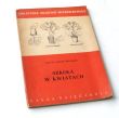 SZKOŁA W KWIATACH  ZOFIA   i   IRENA  WILSKIE