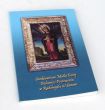 Sanktuarium Matki Bożej Bolesnej i Pocieszenia w Radomyślu nad Sanem przewodnik