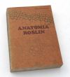 ANATOMIA ROŚLIN  Edmund Malinowski