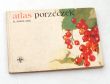 atlas porzeczek  K.SMOLARZ
