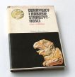 ODKRYWCY I RABUSIE STAROŻYTNOŚCI   EVA LORENZ 