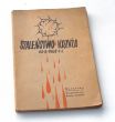 Szaleństwo krzyża O. RAOUL PLUS T. J.