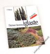 Drzewa i krzewy iglaste w ogrodzie  Piotr Muras