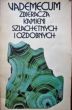Vademecum zbieracza kamieni szlachetnych i ozdobnych  Michał Sachanbiński, Ryszard Hutnik