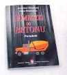 DOMIESZKI DO BETONU  Jarosław Młodecki Irena Stebnicka