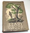 SZARY PROCH POWIEŚĆ MARIA  RODZIEWICZÓWNA