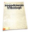 Zagadnienia tribologii  Stanisław Pytko