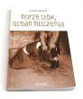 Morze słów, ocean milczenia Ilona Hruzik