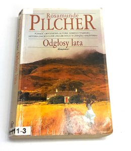Odgłosy lata Rosamunde Pilcher