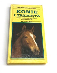 Konie i źrebięta Dorota Modlińska